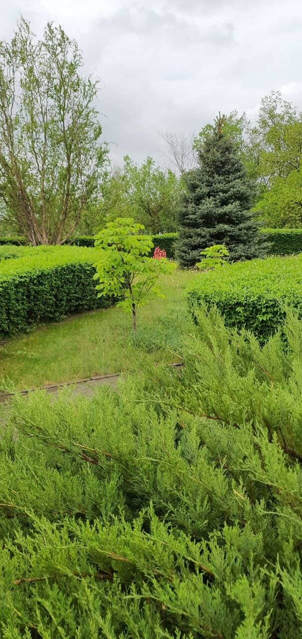 Фото Гостиницы Сталинград Волгоград 6