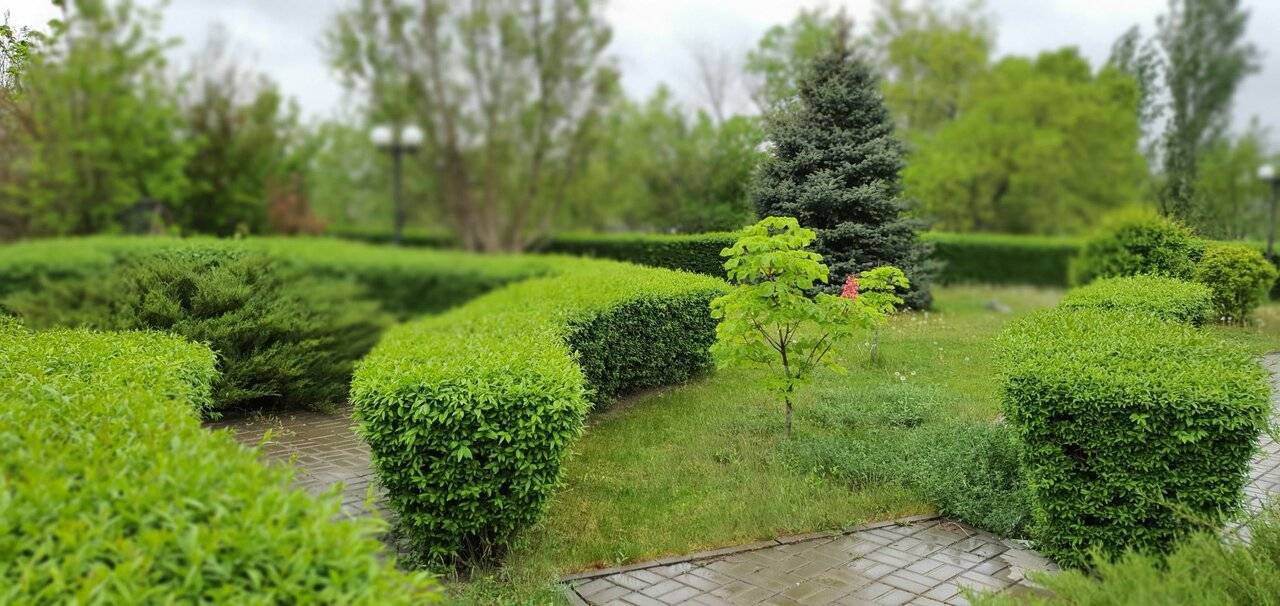 Фото Гостиницы Сталинград Волгоград 25