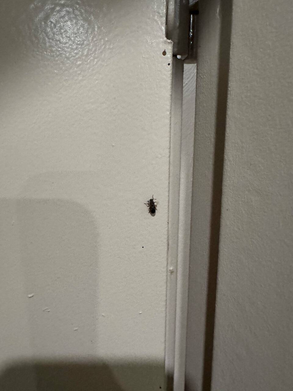 Фото Гостиницы Сталинград Волгоград 242