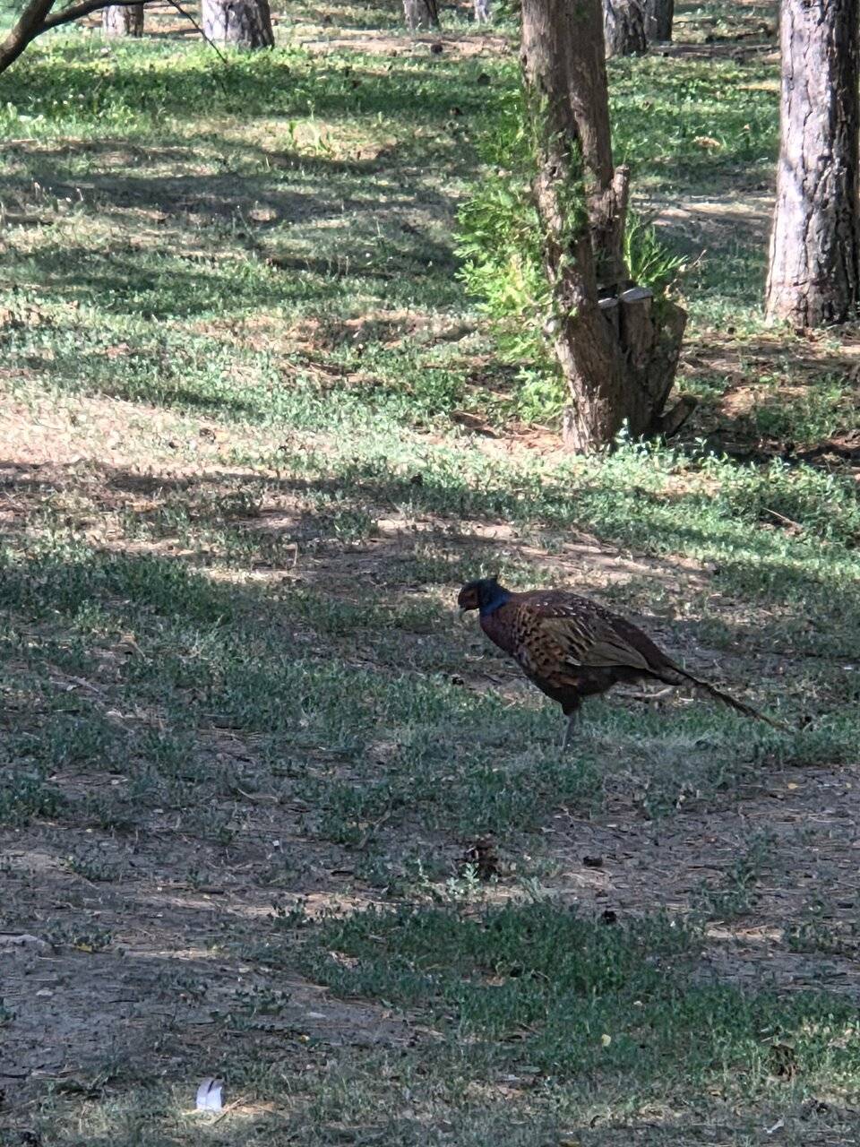 Фото Гостиницы Сталинград Волгоград 161