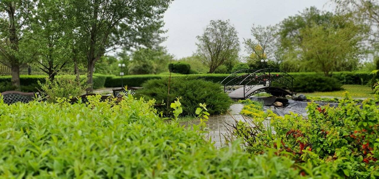 Фото Гостиницы Сталинград Волгоград 30